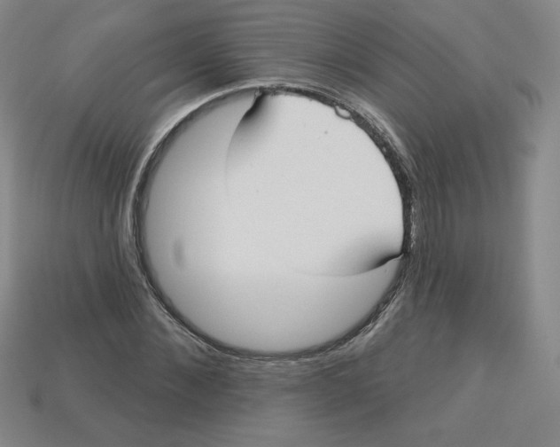 X0000113160876200910021459