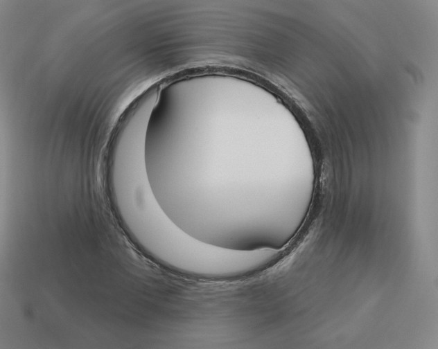 X0000113160877200910021459