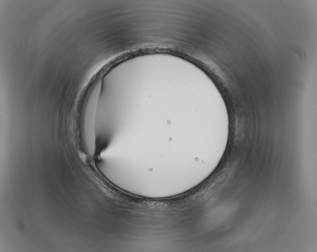 X0000113160878200910021459