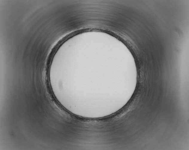 X0000113160880200910021459