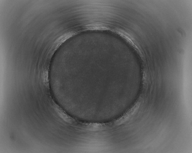 X0000113160881200910021459