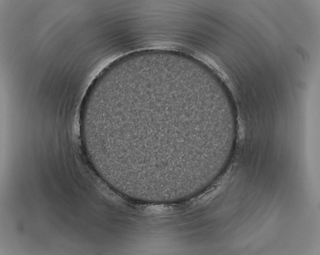 X0000113160883200910021459