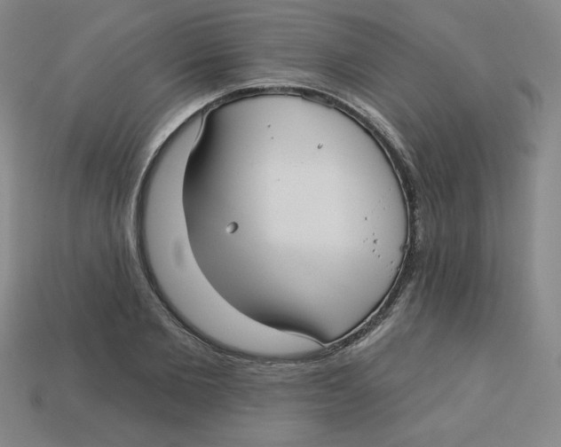 X0000113160885200910021459