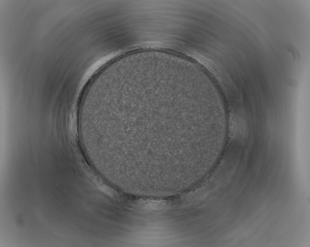 X0000113160886200910021459