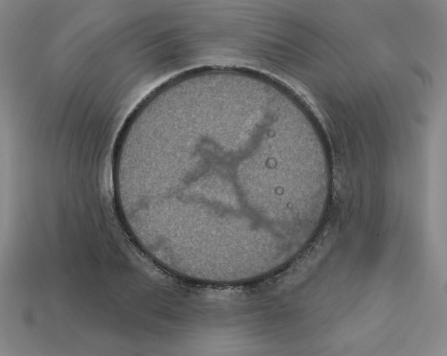 X0000113160887200910021459