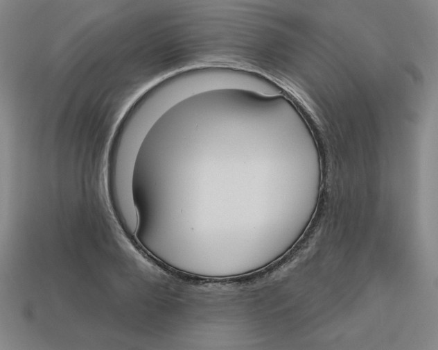 X0000113160888200910021459