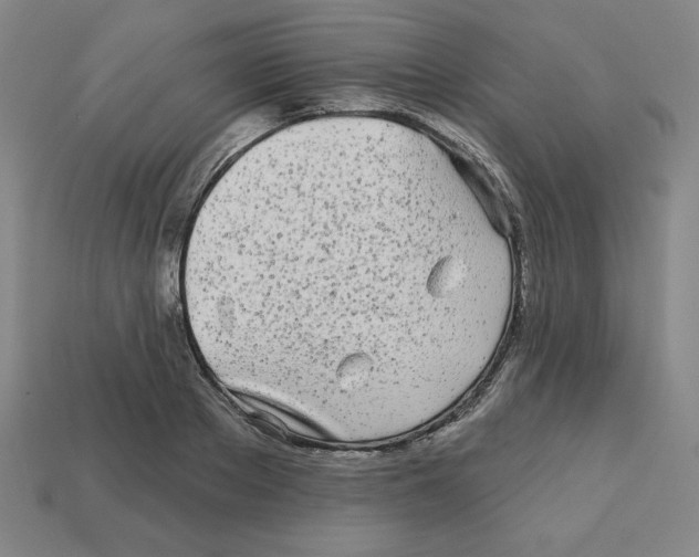 X0000113160889200910021459