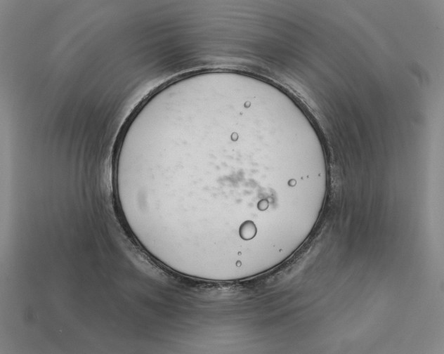 X0000113160891200910021459