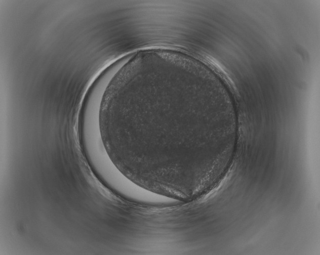 X0000113160892200910021459