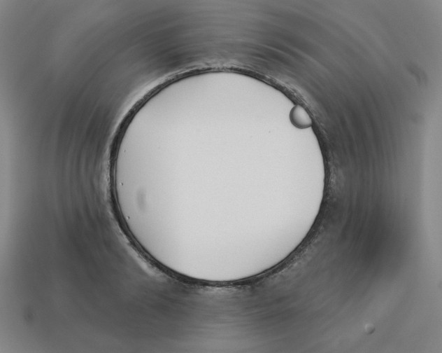 X0000113160894200910021459