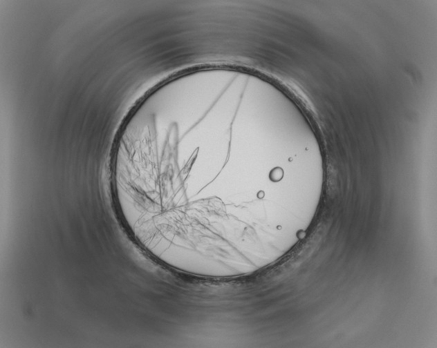 X0000113160895200910021459