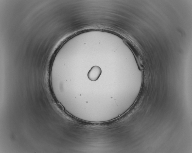 X0000113160896200910021459