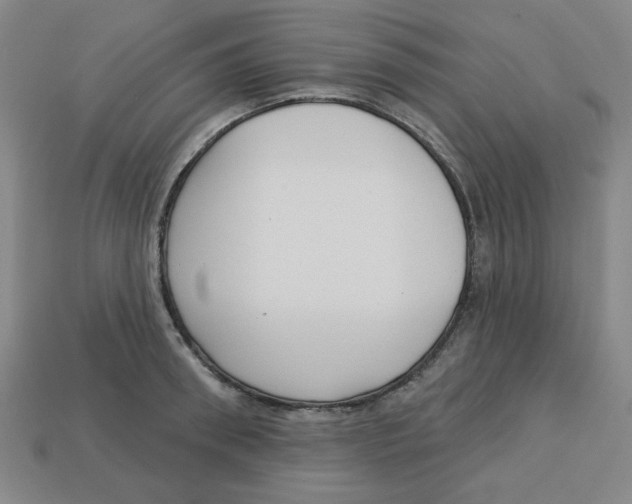 X0000113160898200910021459