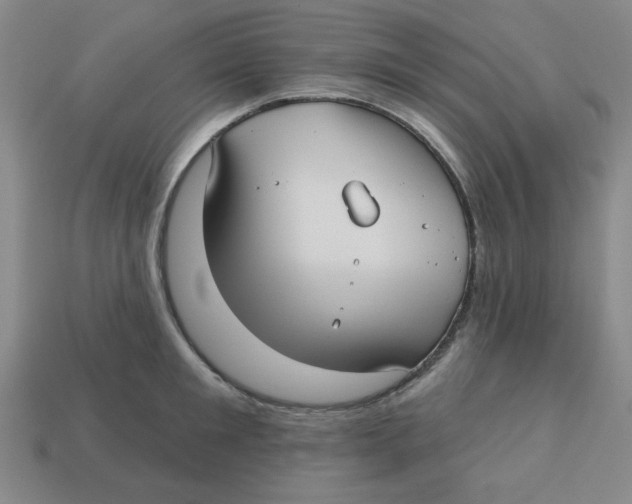 X0000113160901200910021459