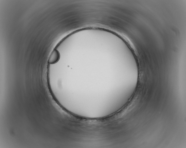 X0000113160903200910021459