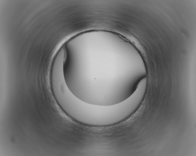 X0000113160904200910021459