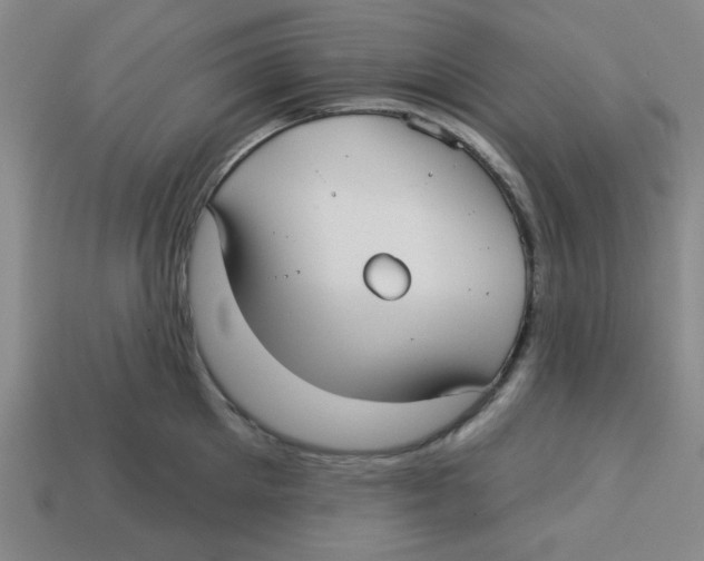 X0000113160905200910021459