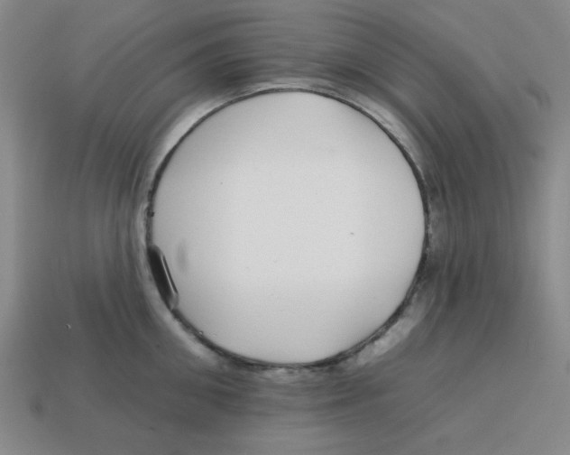 X0000113160906200910021459