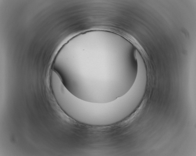 X0000113160908200910021459