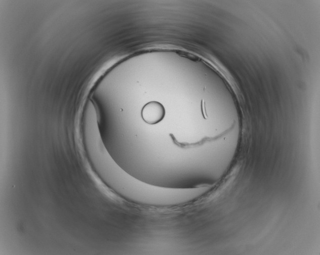 X0000113160909200910021459