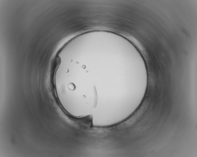 X0000113160910200910021459