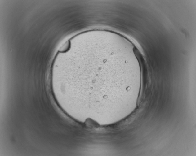 X0000113160911200910021459