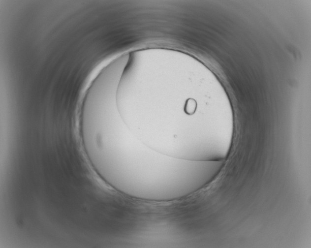 X0000113160912200910021459