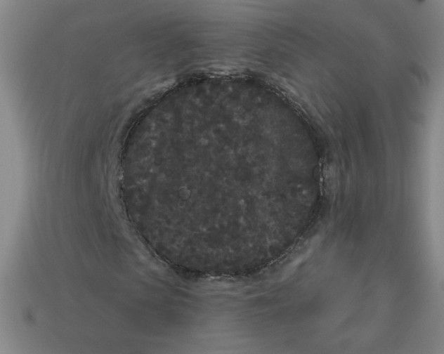 X0000113160913200910021458