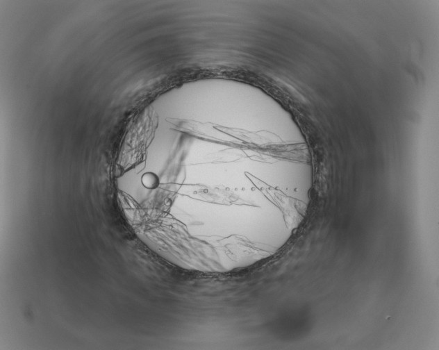 X0000113160917200910021458