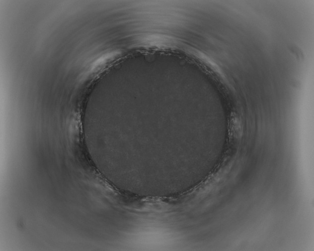 X0000113160918200910021458