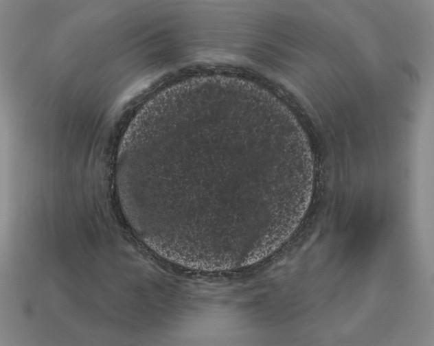 X0000113160919200910021458