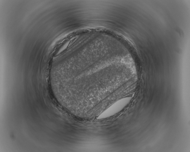 X0000113160920200910021458