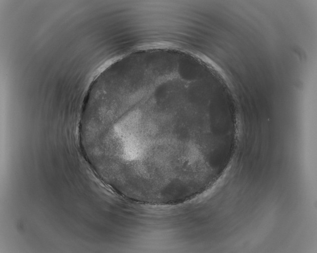 X0000113160921200910021458