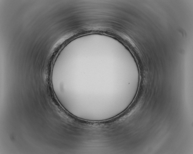 X0000113160922200910021458