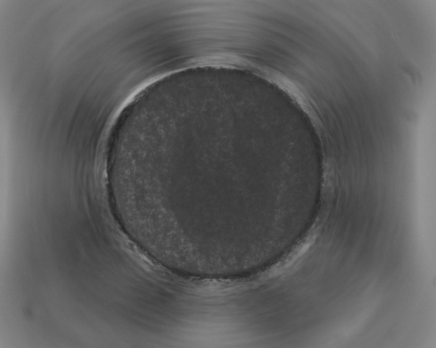 X0000113160923200910021458