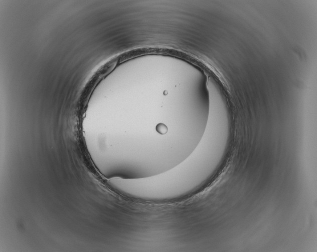 X0000113160926200910021458