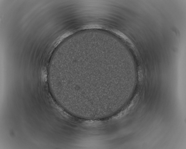 X0000113160929200910021458