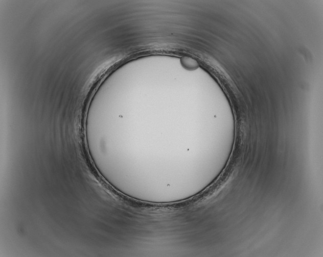 X0000113160930200910021458