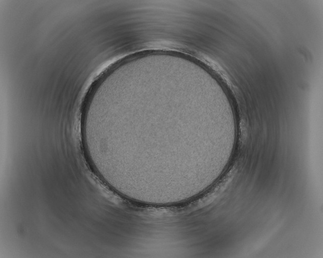 X0000113160931200910021458