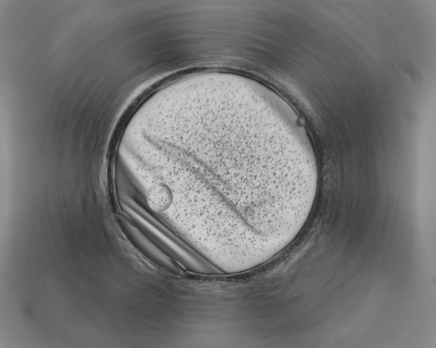 X0000113160932200910021458