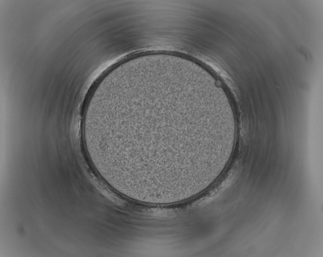 X0000113160933200910021458