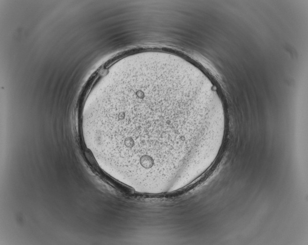 X0000113160934200910021458