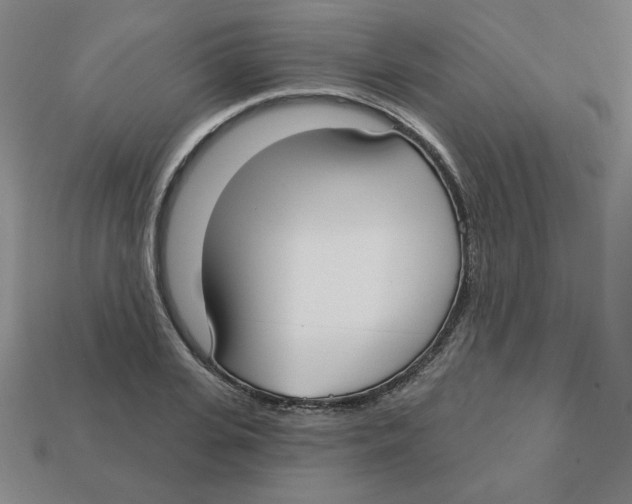 X0000113160935200910021458