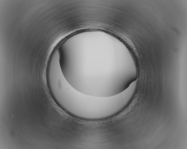 X0000113160936200910021458