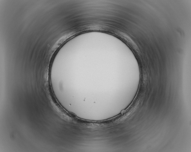 X0000113160938200910021458