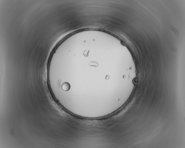 X0000113160940200910021458