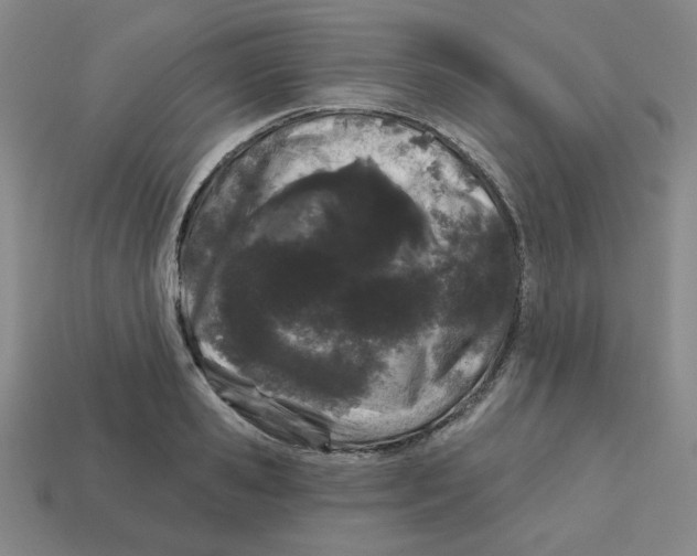 X0000113160941200910021458