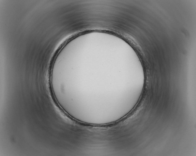 X0000113160942200910021458