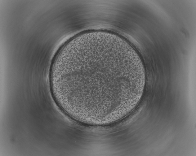 X0000113160943200910021458