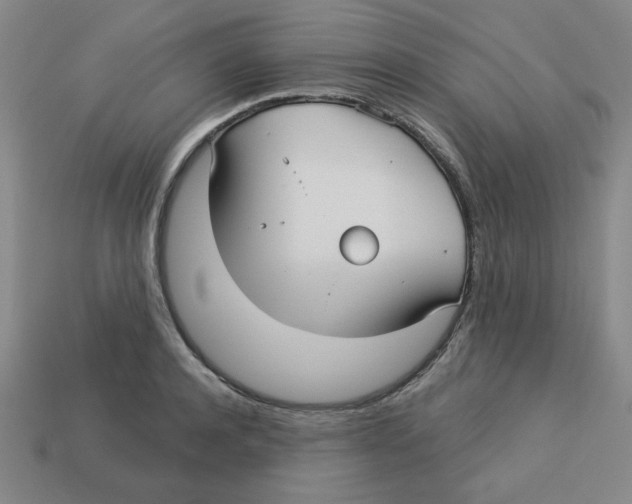 X0000113160944200910021458